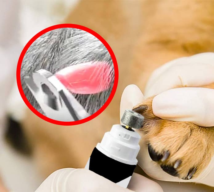 Pawly PawPRO, električna pilica za krajšanje pasjih krempljev - Image 2